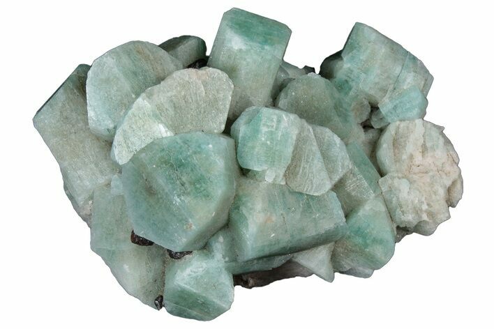 Amazonite Crystal Cluster - Colorado #314753